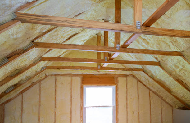 Best Insulation Contractor Near Me  in Coleman, MI