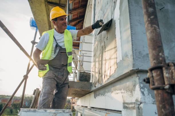 Best Wall Insulation Contractor  in Coleman, MI