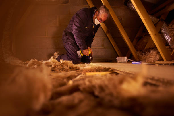 Best Attic Insulation Installation  in Coleman, MI