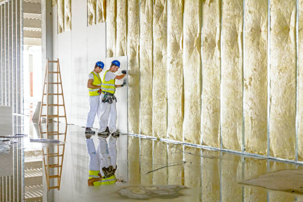 Best Wall Insulation Contractor  in Coleman, MI